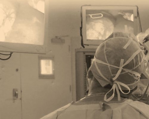 specialty Robotic Image